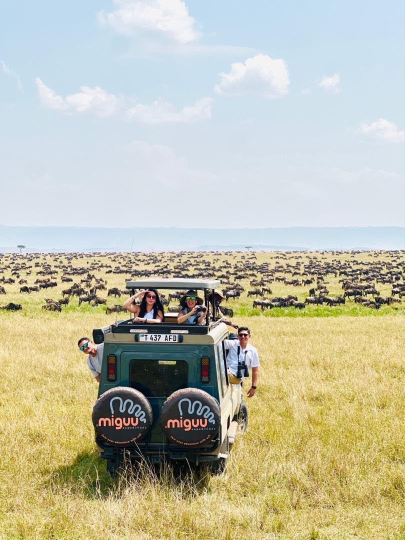 Guests in a Miguu vehicle watching a vast wildebeest herd stretch to the horizon